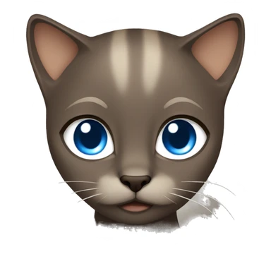 Dark Brown face - beige body and ears female siamise cat with blue eyes  sticker