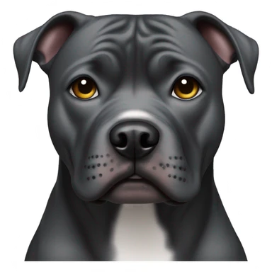 dark gray american staffie dog thug with concerned look on his face sticker