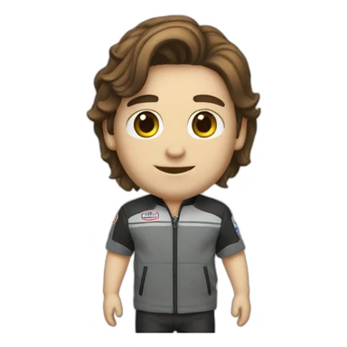 Shelby-gt500- sticker