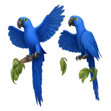 Hyacinth Macaw pair flying sticker