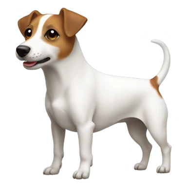 Jackrussell body side sticker