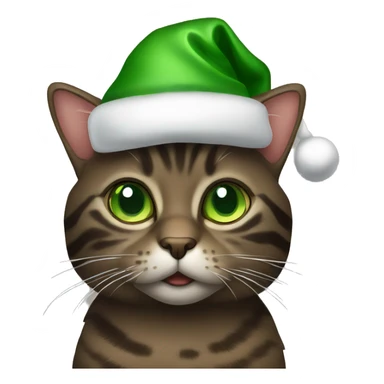 Dark brown tabby cat with green eyes wearing Christmas hat sticker