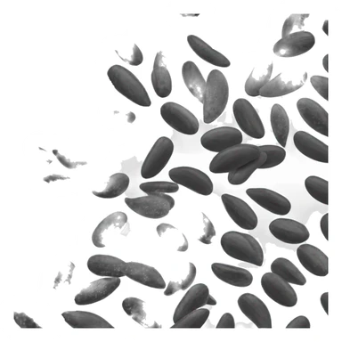 Black sesame seeds sticker