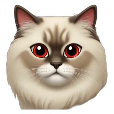 Himalayan cat in red heart sticker