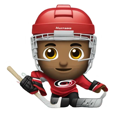 Carolina hurricanes hockey  sticker