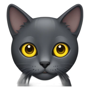 dark grey cat with yellow eyes sticker