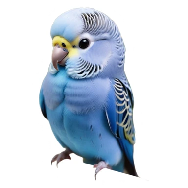 Cinematic Noble Blue Budgie Portrait Emoji, Poised and regal, with a petite, delicate build and a smooth, well-groomed fur of vibrant blue feathers, deep-set soulful dark eyes, Simplified yet sharp and sophisticated features, highly detailed, glowing with a soft, dignified glow, high shine, intelligent and charming, stylized with an air of elegance, focused and attentive, soft glowing outline, capturing the essence of a watchful and confident avian companion, so majestic it feels as though it could flutter out of the screen with effortless authority! sticker