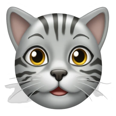 Silver tabby with cruise ship sticker