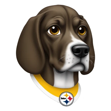 Snoop dog with Steeler helmet sticker