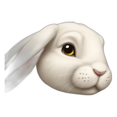 rabbit-disappointment sticker
