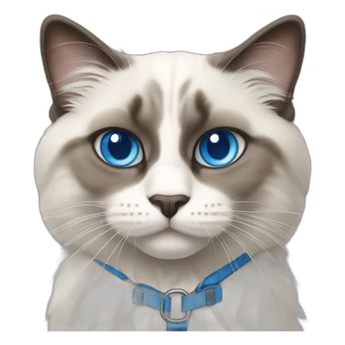 Ragdoll cat with blue eyes, mouth slightly open, wearing a blue harness sticker