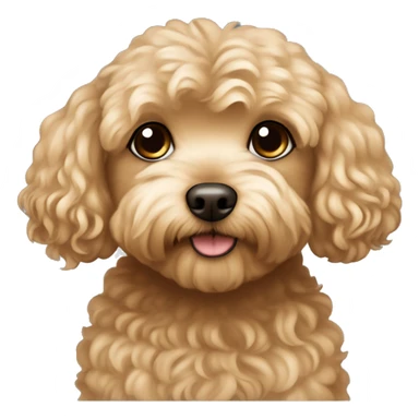 Brown dog maltipoo with girl, girl has a blonde hair sticker