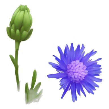 bachelor's button flower sticker