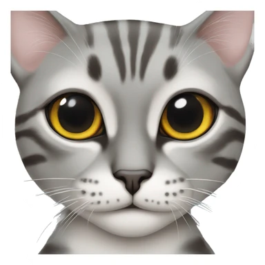Siam katze blaue augen  sticker