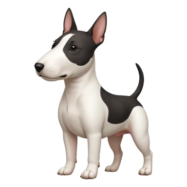 bull terrier with black head and body and a white chest sticker