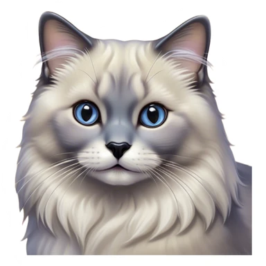 Cinematic Adorable Fluffy Grey Seal Ragdoll Cat Portrait Emoji, Head tilted gracefully with large, sparkling eyes, soft grey fur with darker seal points on the ears, face, and paws, Simplified yet majestic features, highly detailed, glowing with a soft, warm glow, high shine, calm and affectionate, stylized with a touch of elegance, bright and endearing, soft glowing outline, capturing the essence of a regal and loving kitty, so serene it feels like it could glide across the screen with its dignified presence! sticker