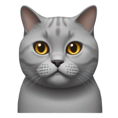 british shorthair cat sticker