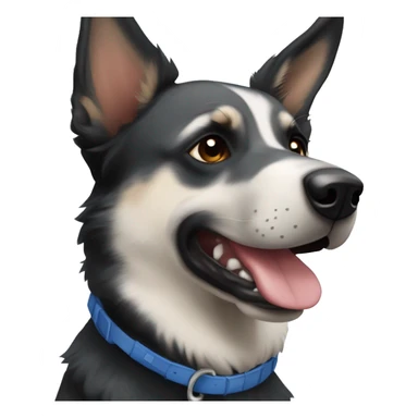 Black and white German Shepard and blue heeler mix sticker
