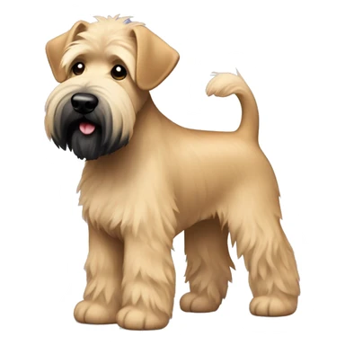 Wheaten terrier with a fluffy puppy haircut and black ears and chin sticker