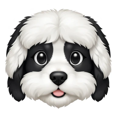 A black and white cavaton (cavalier King Charles spaniel and coton de Tulear) dog with black from his ears to around his eyes and white around his mouth and nose  sticker