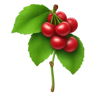 Cherries on a stem sticker