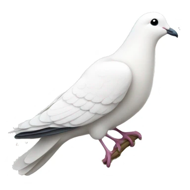 A white dove with an olive branch sticker