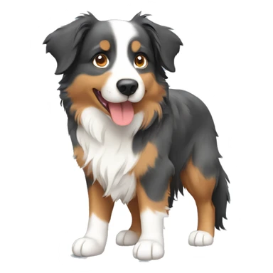 Australian shepherd 3 color sticker