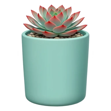 A ceramic pot in a pastel turquoise color, shaped like a cylinder, the pot is tall and contains an Echeveria 'Painted Nodulosa' plant. sticker