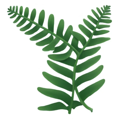 silver fern sticker