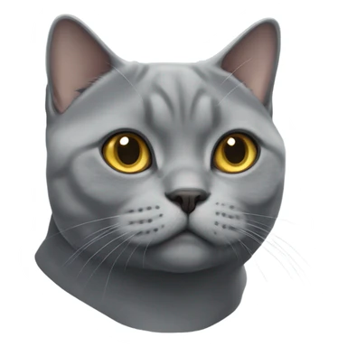 A Grey british shorthair cat sticker