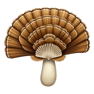 Turkey Tail sticker
