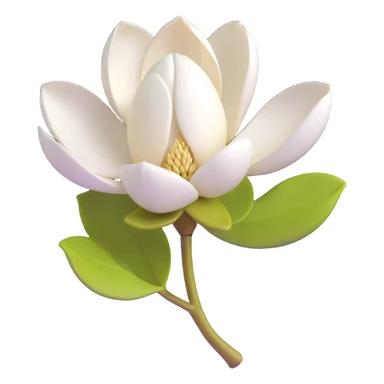 3D icon of a magnolia bud with white petals just starting to open, minimal background sticker