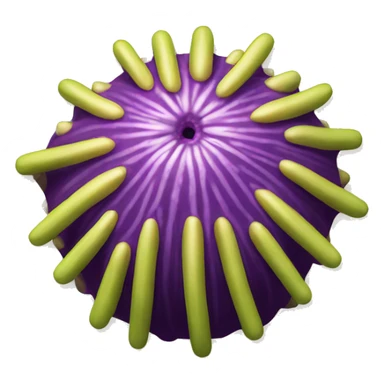 pacific purple sea urchin  sticker