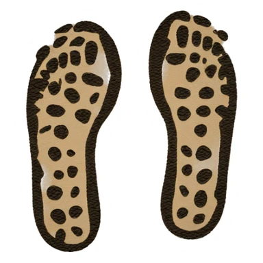 pair of shoe prints in the path sticker