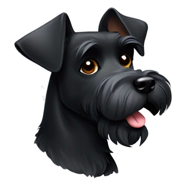 Black schnauzer with one ear up and the other one down sticker