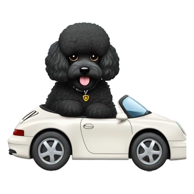 Black poodle with white beard sitting in a porsche 992 with color kreide  sticker