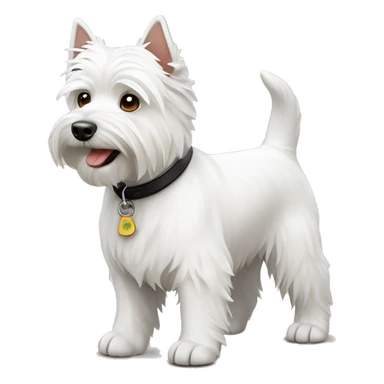 White west highland terrier stand on the ground sticker