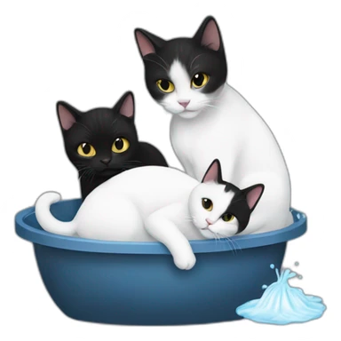A white cat washing a black cat sticker