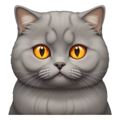 The photo shows a cat with a dense physique, short plush gray wool. His tail is fluffy and slightly darker than the rest of the wool. The cat has large round eyes of rich yellow-orange color, which give it an expressive and slightly surprised look. The ears are small and curved forward - this is a characteristic feature of the Scottish lop-eared breed. This cat looks at emojis condemningly sticker