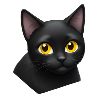 black cat with yellow eyes sitting in cardboard box sticker