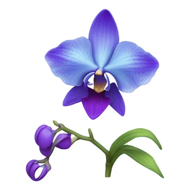 Blue orchid flower sticker