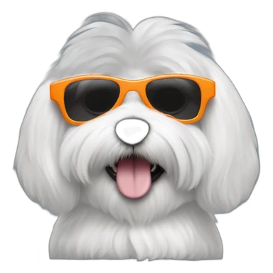 Coton de Tulear oreille orange with sunglasses sticker