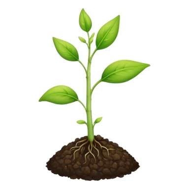 A small seedling plant sprouting, representing reproduction in plants sticker