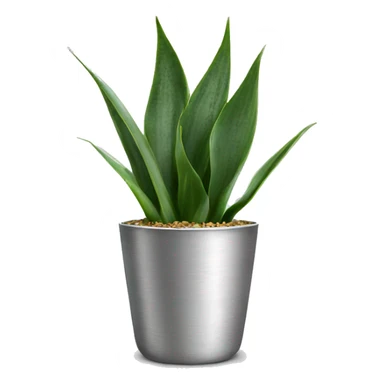 Sansevieria plant in silver pot sticker