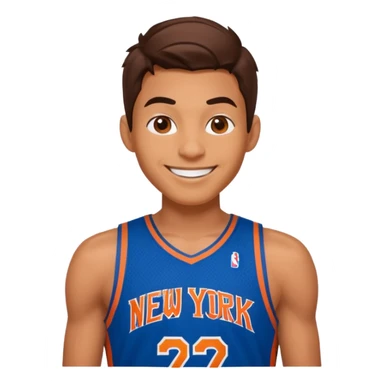 Spiderman new york knicks sticker