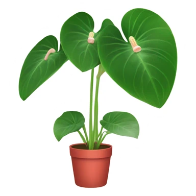 Anthurium sticker