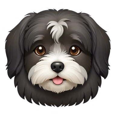 dark gray Havanese dog face sticker