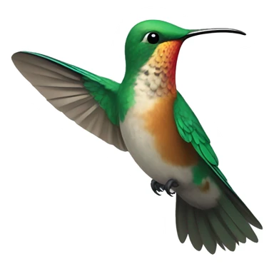 humming bird sticker