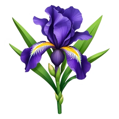 bouquet Bi-Colored Iris, luxuriant, leaf, bud sticker