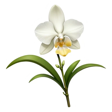 single white Dendrobium Orchid straight stem sticker